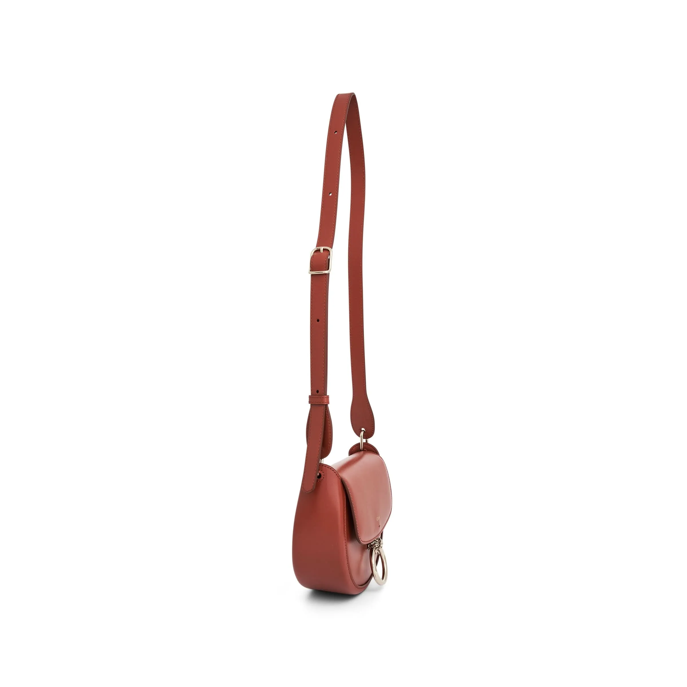 Chloe Arlene Crossbody Bag with Metal details in Leather in Autum Leaf